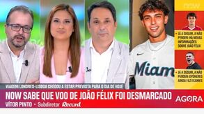 Vítor Pinto: «João Félix tem de estar preocupado em relançar a carreira e jogar futebol»