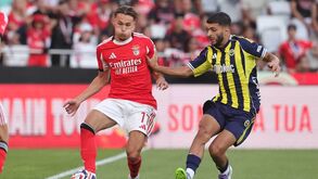 Dedic no Benfica-Fenerbahçe