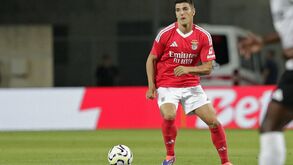 Martim Neto vai ser reforço do Elche: Benfica fica com metade do passe