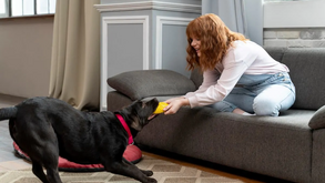 Está provado cientificamente que ter um animal de estimação abranda o envelhecimento do cérebro: do que está à espera?