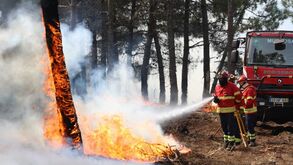 Incêndios: Governo renova situação de alerta até dia 13