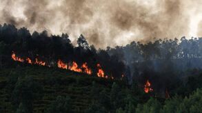 Quatro estradas nacionais cortadas em quatro distritos devido aos incêndios