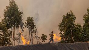 Incêndios: área ardida triplicou nos últimos 15 dias