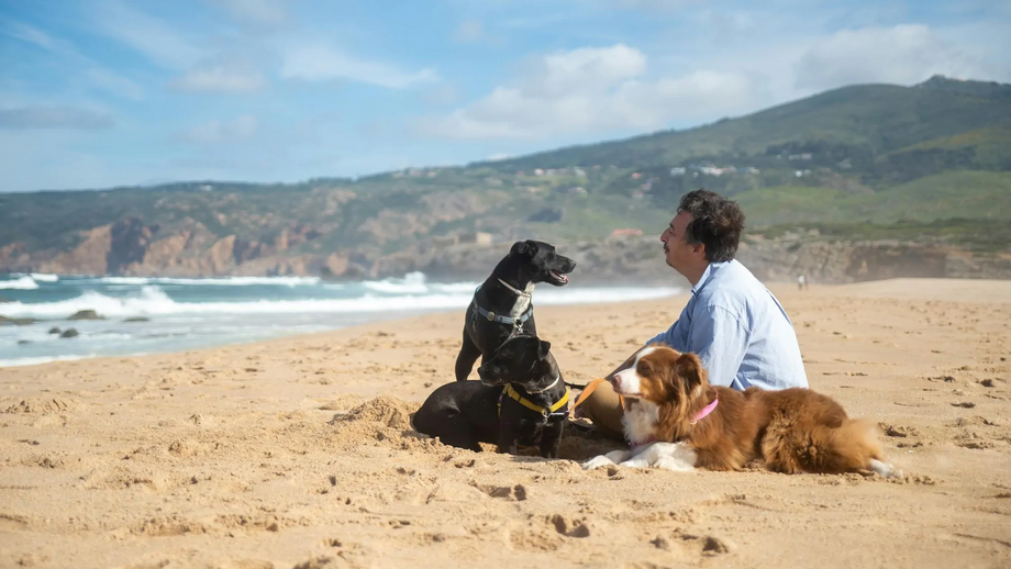 Homem relaxa na praia com seus cães
