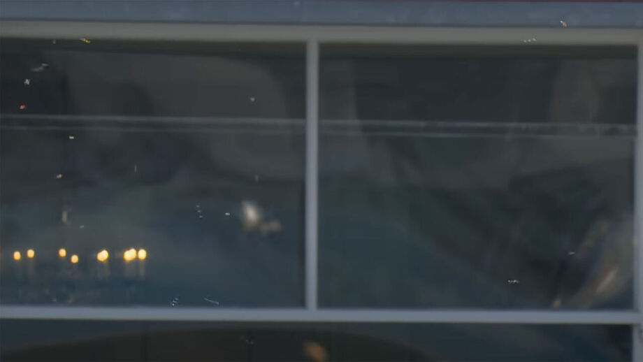 Enxame de joaninhas interrompe jogo de críquete em Inglaterra 