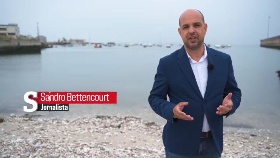 A praia do Samouco, em Alcochete, é o ponto de partida para o negócio milionário