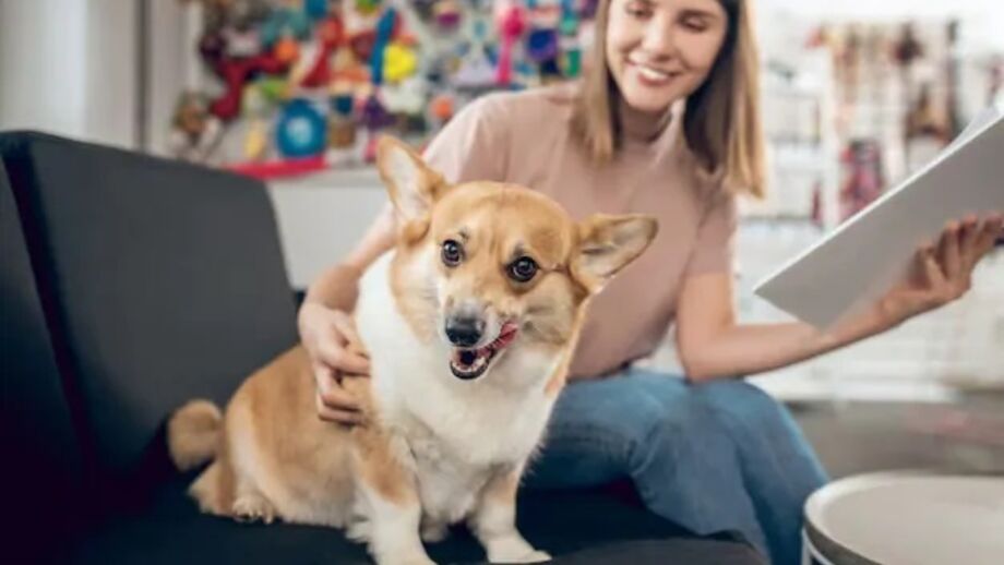 Ter um pet em casa significa alegria, diversão e muito amor