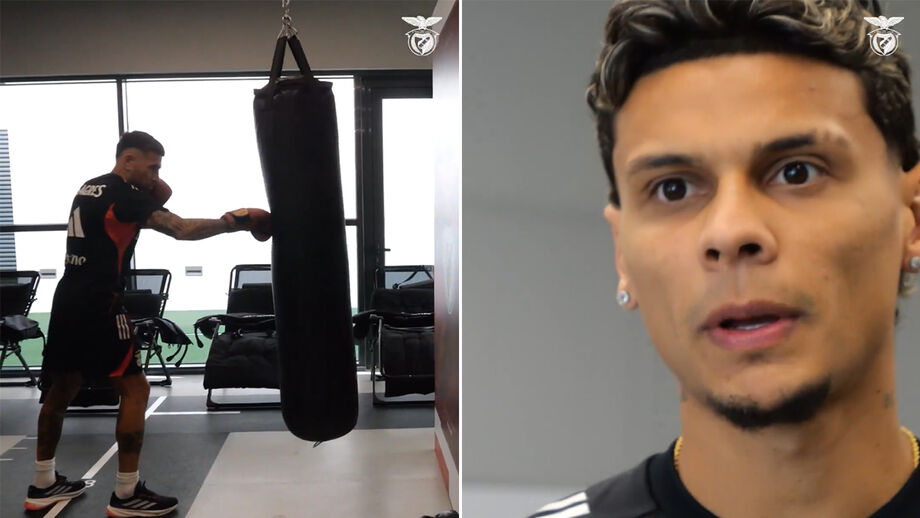 Águias idealizam um princípio de combate de boxe entre ambos