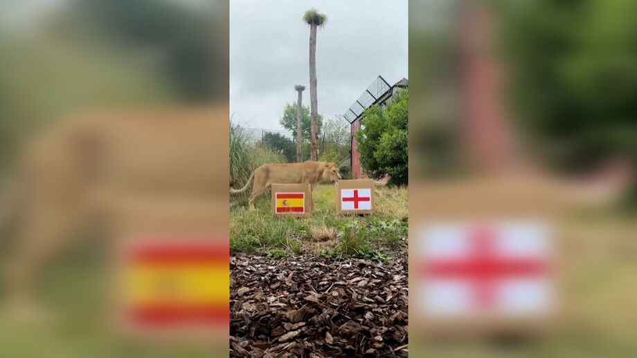Jogo está marcado para domingo