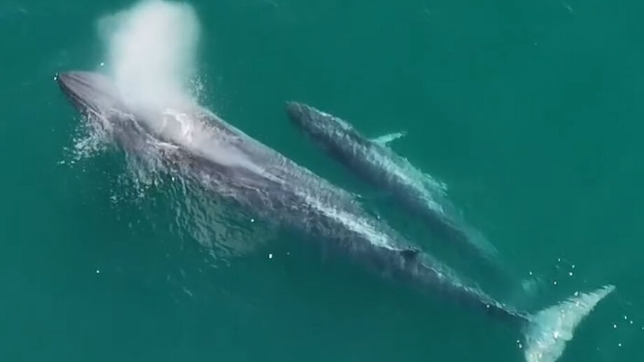 Momento registado no sábado