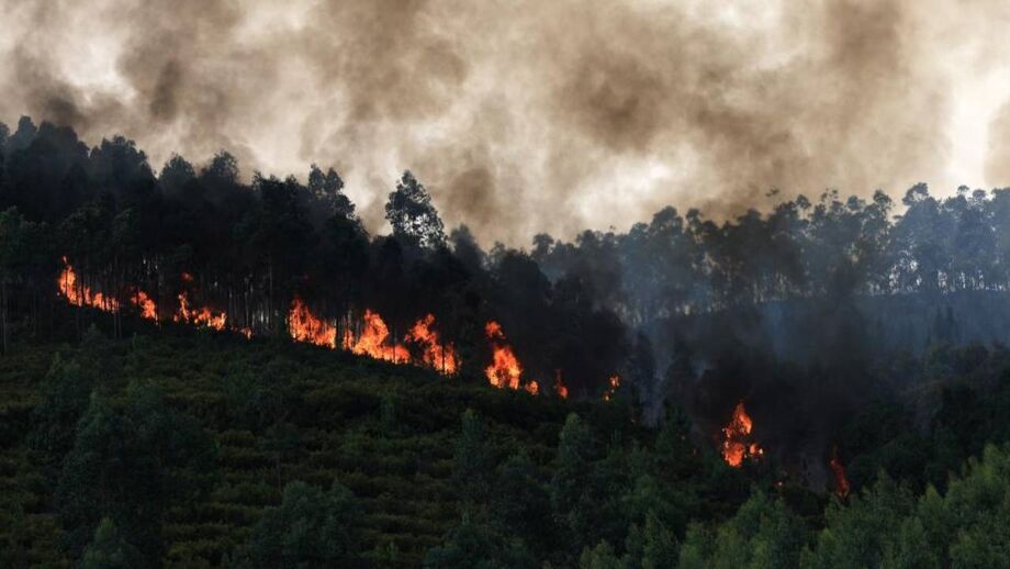 Incêndio que lavra junto ao lugar de Monte Moção, na freguesia Santa Eulália, em Arouca