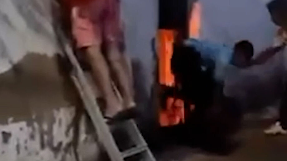 Animal acabou por morrer