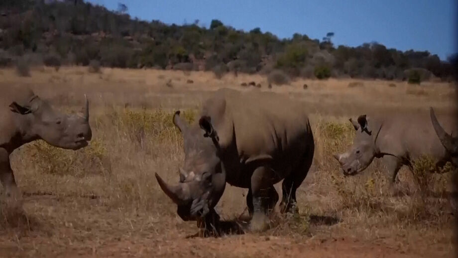Universidade lançou campanha