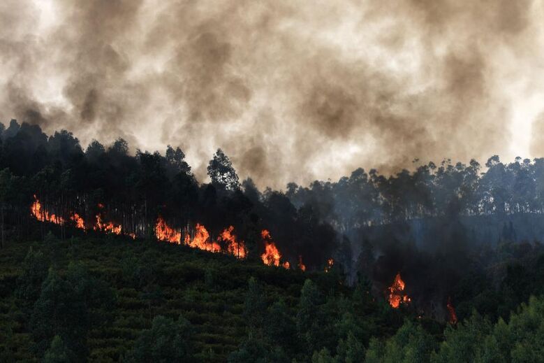 Incêndio na freguesia de Santa Eulália, em Arouca
