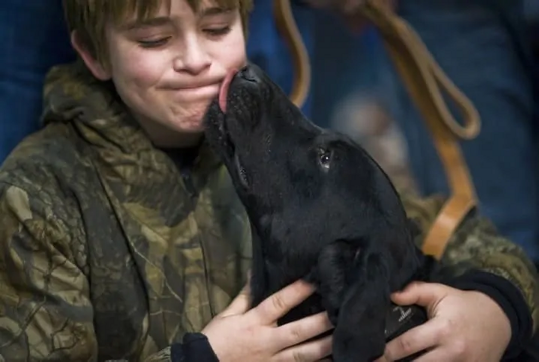 Lambidelas dos cães podem ter diversos significados e vão muito além do simples carinho