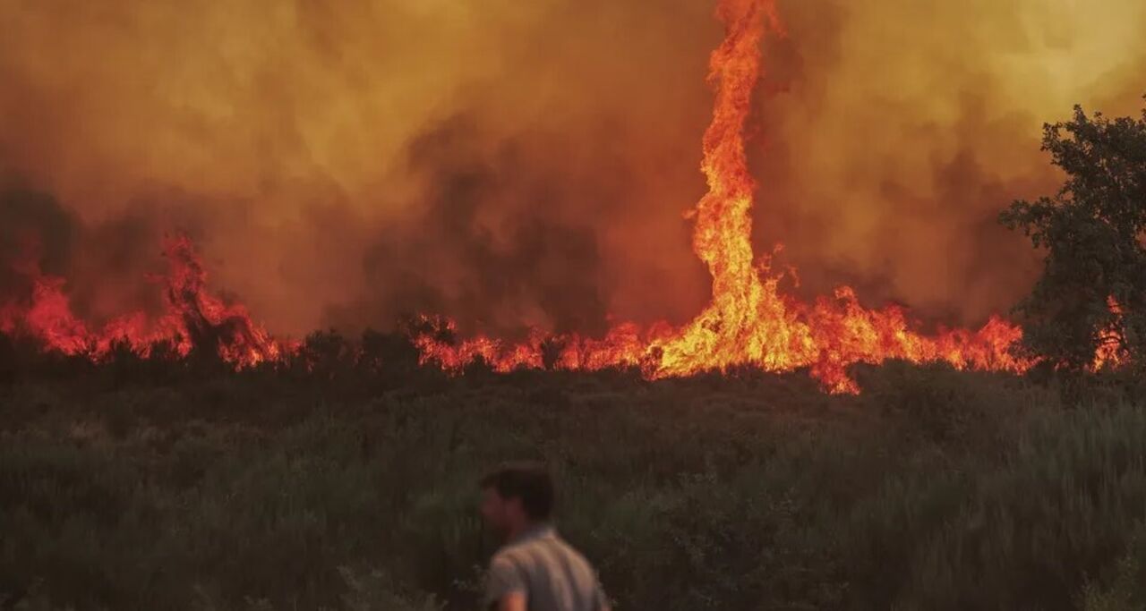 Tornado de fogo surge em Moimenta da Beira, Viseu, complicando combate aos incêndios