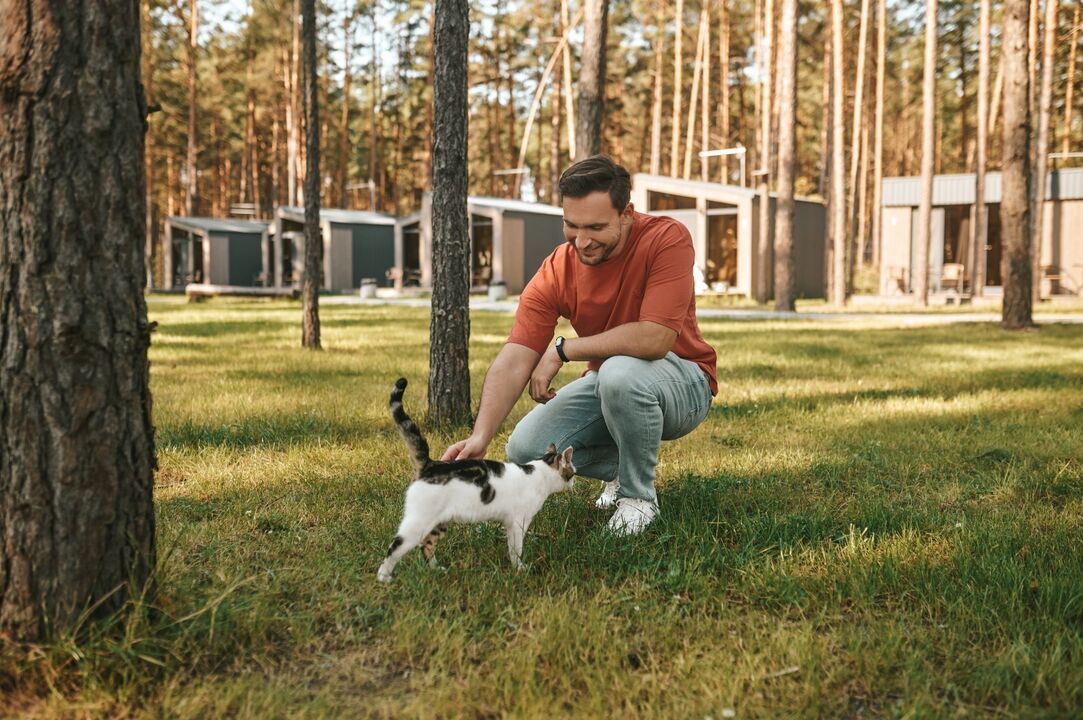 Homem acaricia um gato num parque soalheiro perto de cabanas de madeira