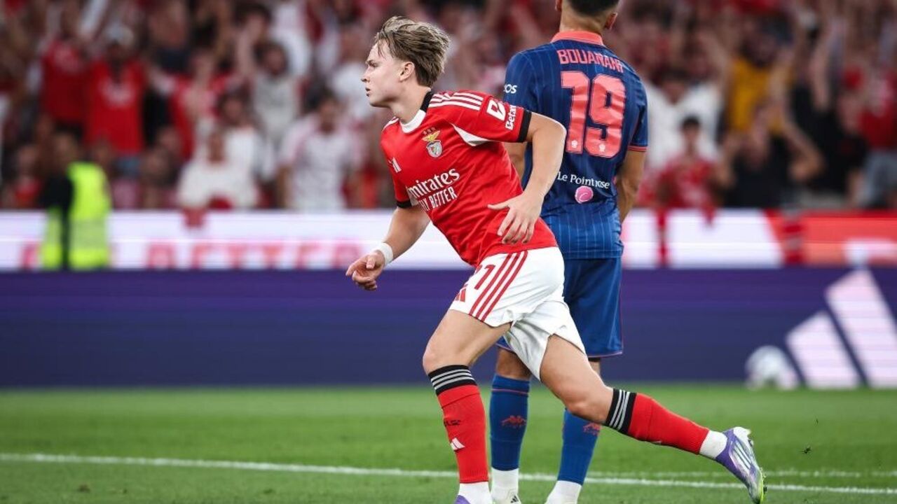 Schjelderup confiante após vitória do Benfica na Liga dos Campeões