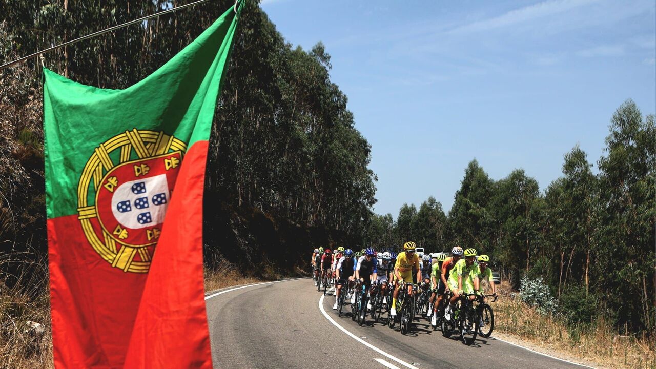 Ciclistas competem em estrada ladeada por eucaliptos e bandeira de Portugal