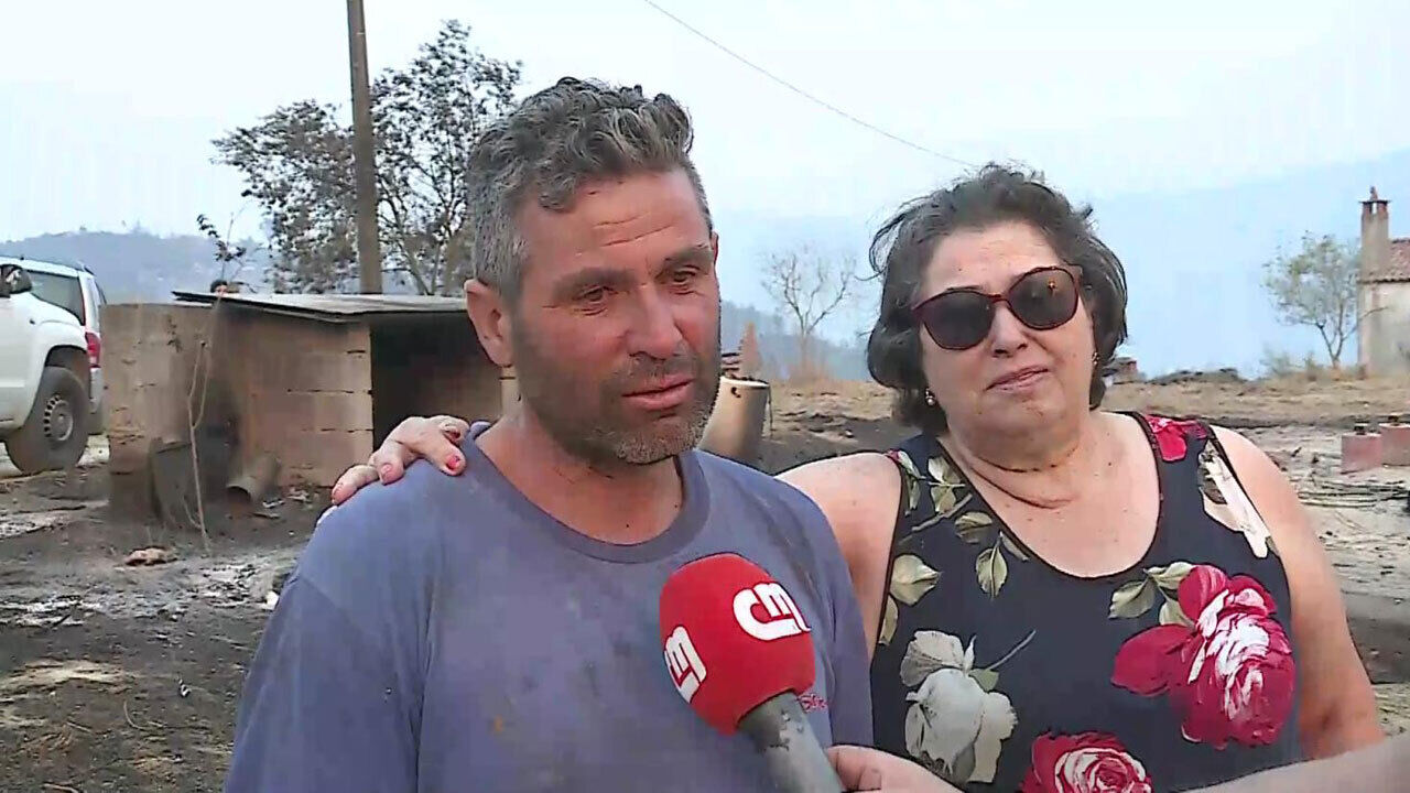 Adepto do Benfica perde casa em Oliveira do Hospital mas salva animais