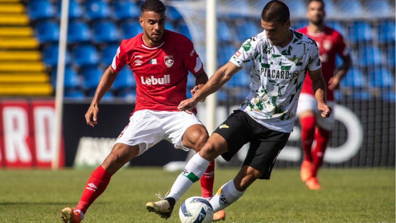 Pedro Ferreira e Stjepanovic