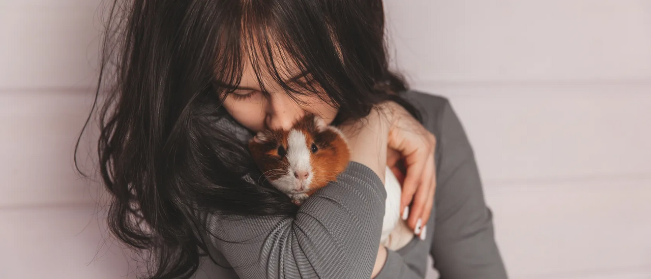 Mulher demonstra afeto por um porquinho-da-índia