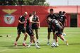 Imagens do treino do Benfica