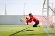 Imagens do treino do Benfica