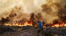 Incêndio em Trancoso