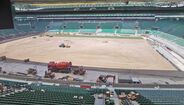 Trabalhos no novo tapete do Estádio José Alvalade