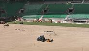 Trabalhos no novo tapete do Estádio José Alvalade