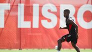 Imagens do treino do Benfica