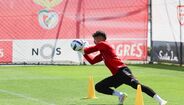 Imagens do treino do Benfica