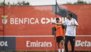 Benfica prepara deslocação a Istambul, onde defrontará o Fenerbahçe