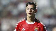 Enzo Barrenechea 