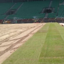 <![CDATA[ Estádio José Alvalde veste-se a rigor para celebrar o 22.º aniversário: veja as primeiras tiras do novo relvado ]]>