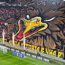 <![CDATA[ A provocação dos adeptos do Nice antes do jogo com o Benfica: «A águia Vitória é uma p...» ]]>