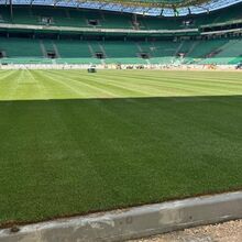 <![CDATA[ Novo piso colocado e relvado regado: obras em Alvalade avançam a bom ritmo ]]>