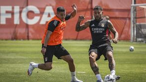 Benfica prepara jogo com o Nice: as primeiras imagens de Ivanovic a treinar