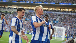 Futebolistas do FC Porto celebram em campo com camisolas azuis e brancas
