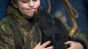 Lambidelas dos cães podem ter diversos significados e vão muito além do simples carinho