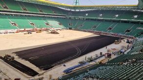 Há terra à vista em Alvalade mas Sporting ainda arrisca receber o Arouca no Estádio Nacional