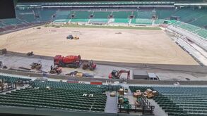 Estádio José Alvalade veste-se a rigor para celebrar o 22.º aniversário: eis o novo relvado... mas não só