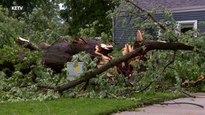 Tempestade violenta no Nebraska causa um morto, arrasta árvores e destrói casas