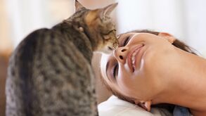 Mulher sorri enquanto um gato lhe toca no nariz