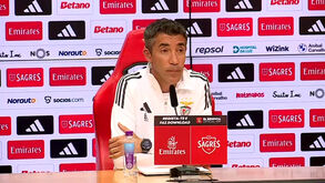 Tomás Araújo pronto para o arranque do campeonato? A resposta de Bruno Lage