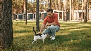 Estas são três formas de manter o seu gato ativo!