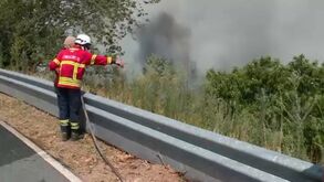 Chamas cercaram aldeia em Arganil: bombeiros e moradores uniram esforços para salvar as casas
