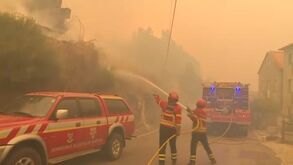 Incêndios: 42 detidos em flagrante em Portugal por crime de fogo posto até 13 de agosto