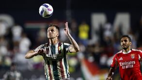 Schappo tem estado em destaque no Estrela